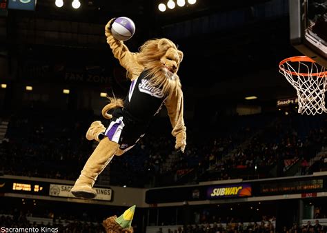 Mascots vs. NBA Players: Which Dunkers Reign Supreme?